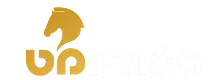 סטודיו מאט